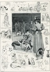 The Kennel Club