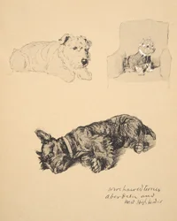 Wire-Haired Terrier, Aberdeen and West Highlander, 1930, Illustrations from his Sketch Book used for Just Among Friends