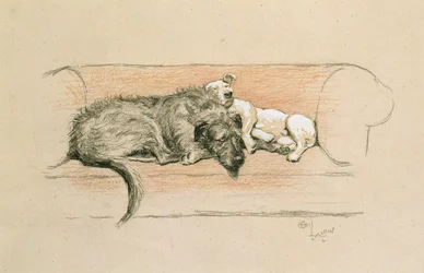 Wolfhound and Bull Terrier Asleep on a Sofa