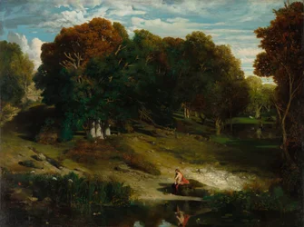 In the Forest