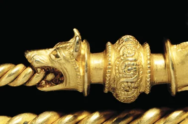 Highly Important La Tene Warrior Fibula (Detail)
