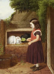 Feeding the Rabbits