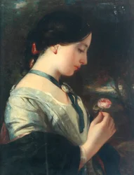 An English Rose