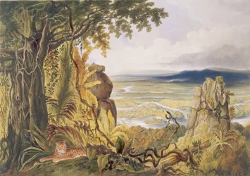 The Comuti or Taquiare Rock, on the River Essequibo, from 