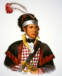 Chief McIntosh, illustration from 