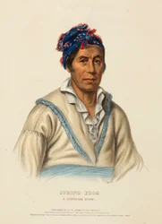 Spring Frog, a Cherokee Chief, from History of the Indian Tribes of North America