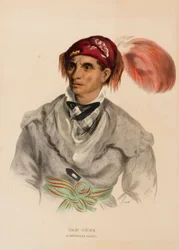 Tah-Chee (Dutch), A Cherokee Chief, from History of the Indian Tribes of North America