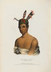 Wa-kawn-ha-ka - A Winnebago Chief