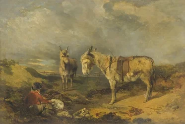 Two Donkeys