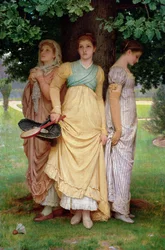 A Summer Shower