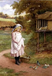 Feeding the Rabbits