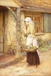 The Sweetest Rose