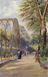 London Zoo: Western Aviary