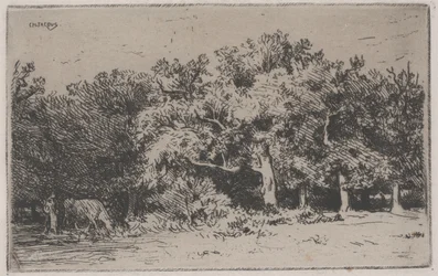 A Corner of the Forest of Fontainebleau