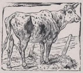 A Cow, ca. 1853