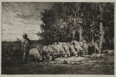 A Herd at the Edge of a Forest