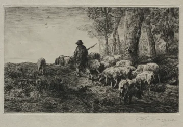 A Herd of Swine