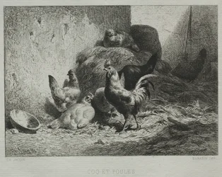 Cock and Hens.