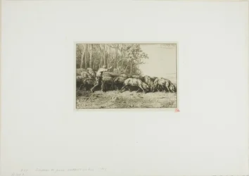 Herd of Swine Coming Out of a Wood