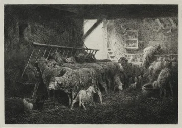 Interior of a Sheep Pen