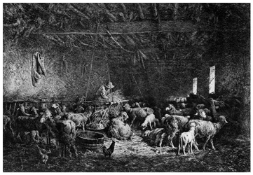 La Bergerie, The Shepherd
