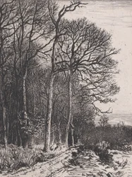 Edge of the Woods