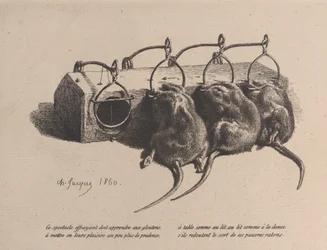 Mousetrap