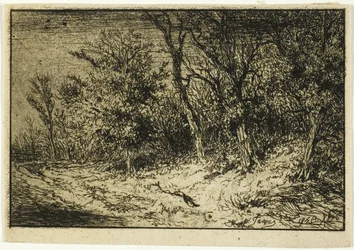 Road at the Edge of a Wood