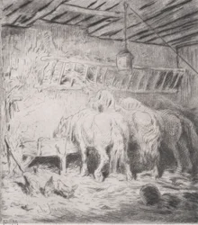 Stable