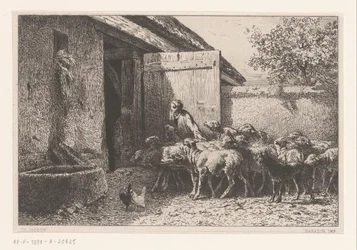 Woman Leading Sheep to the Stable