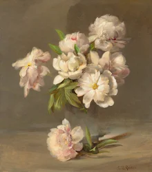 Peonies in a Vase, c.1885