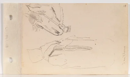 Study of a Yankton Indian and a Horse