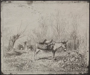 A Donkey in the Field