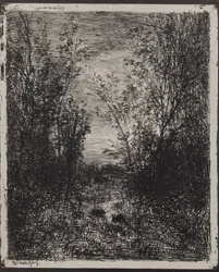 A Stream in a Glade