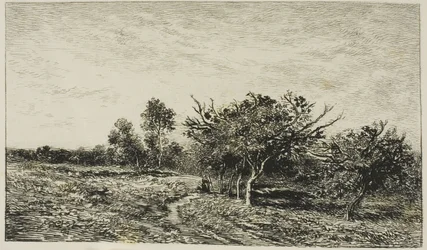 Apple Trees at Auvers