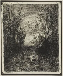 Brook in the Clearing