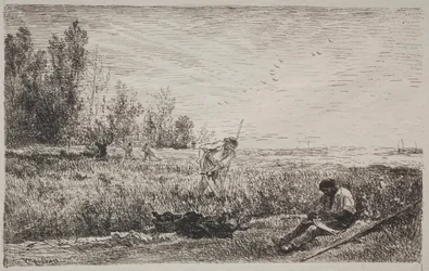 Hay-making