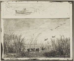 Marsh with Ducks