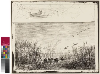 Marsh with Ducks