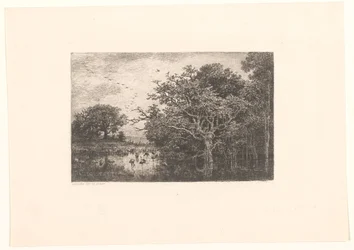 Marsh with Storks