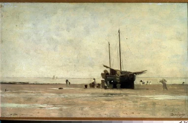 Marine Landscape