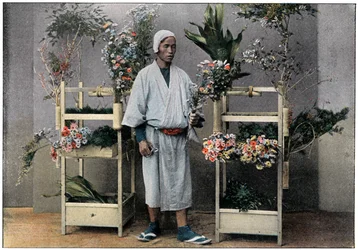 Flower Merchant in Japan
