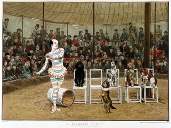 The learned dogs: circus scene with clown and dogs - after Charles Green, English chromo 1885