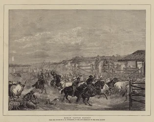 Roman Cattle Market