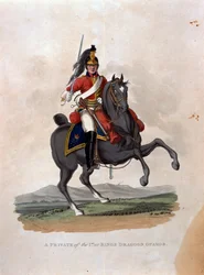 A Private of the 1st, or King