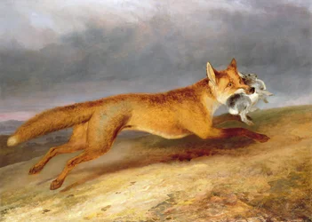 Fox Making Off with a Rabbit