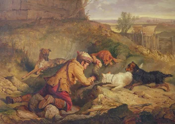 Unknown Image