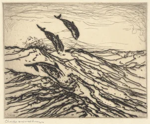 Porpoises