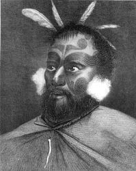 Portrait of a Man of New Zealand, illustration from 