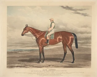 Racing: Blue Bonnet. The Winner of the Great St. Leger Stakes at Doncaster 1842